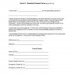 Consent Form Template