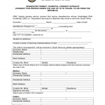 Parental Consent Form South Africa