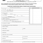 Minor Consent Form Indian Visa