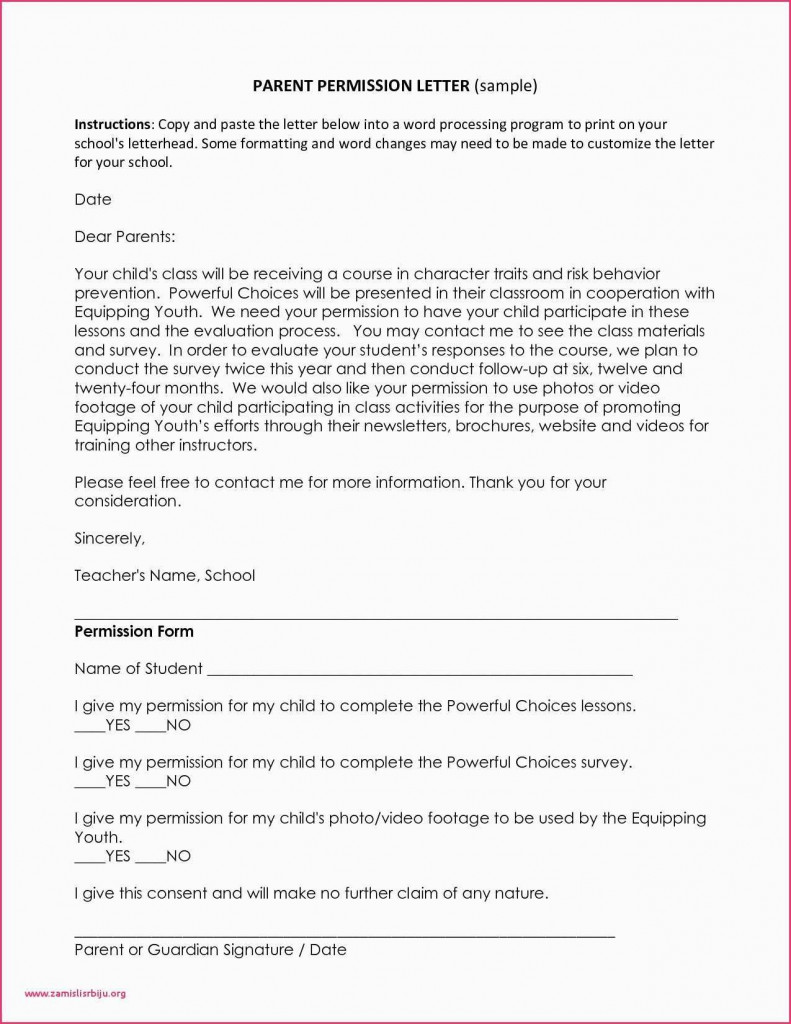 Minor Consent Form Indian Visa