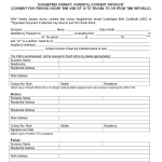 Home Credit Consent Form Pdf Download