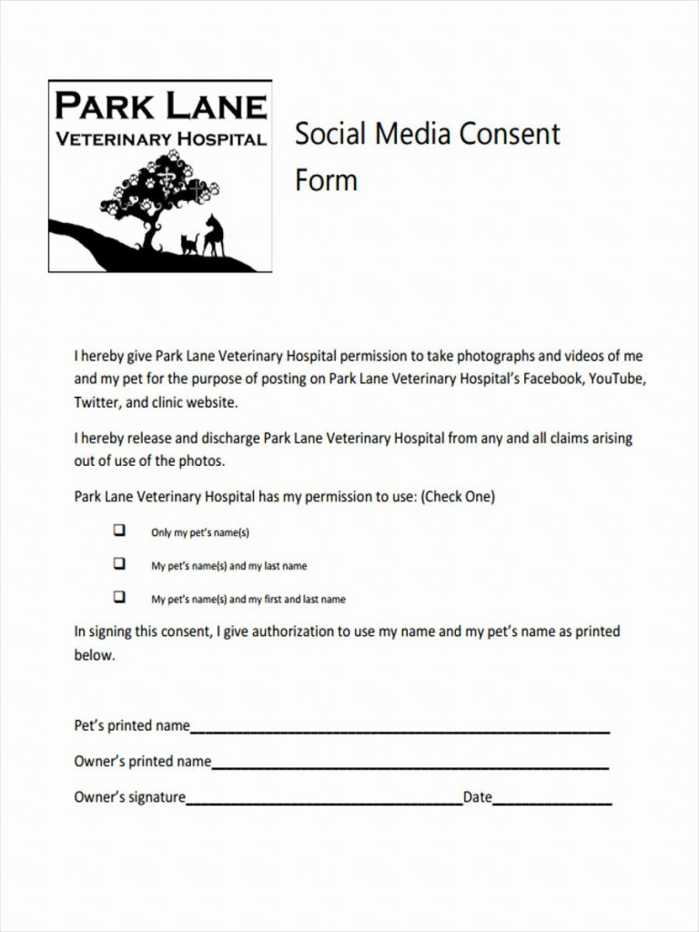 Social Work Consent Form Template