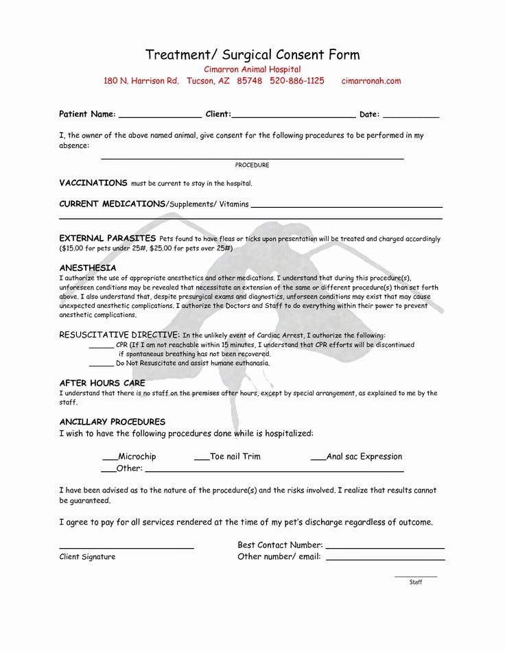 What Is A Consent Form In Hospital Printable Consent Form