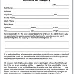 Veterinary Consent Form Template