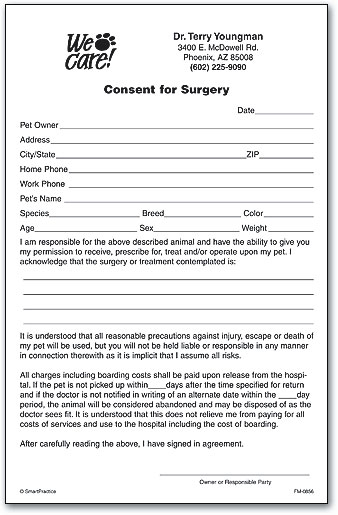 Veterinary Consent Form Template Printable Consent Form 7283