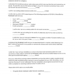 Ida Consent Form