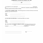 Unanimous Consent Form