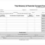 VFS Consent Form Canada Sample