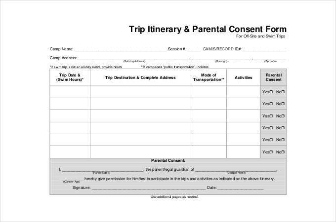 VFS Consent Form Canada Sample