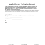 Vevo Consent Form