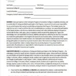 Consent Form For Research Questionnaire