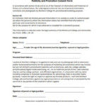 Letter Of Consent Application Form Pdf
