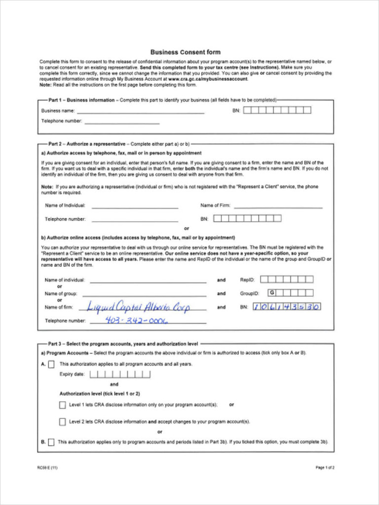 Reference Request Consent Form Template