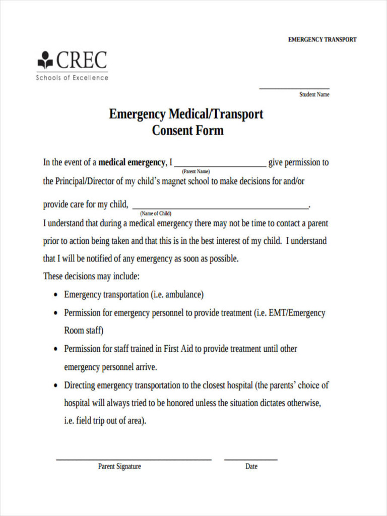 Parental Consent Form For Travel
