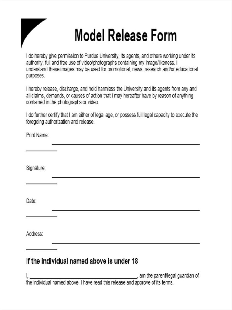 Consent Release Form