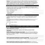 Mtp Consent Form C Pdf