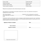 Consent Form VFS Global