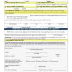 Form Ds-3053 Statement Of Consent