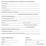 State Department Minor Travel Consent Form