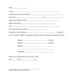 Travel Consent Form Notary