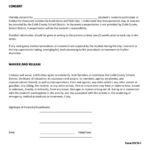 Blanket Consent Form