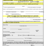 Us Passport Minor Consent Form