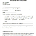 Pet Medical Treatment Consent Form