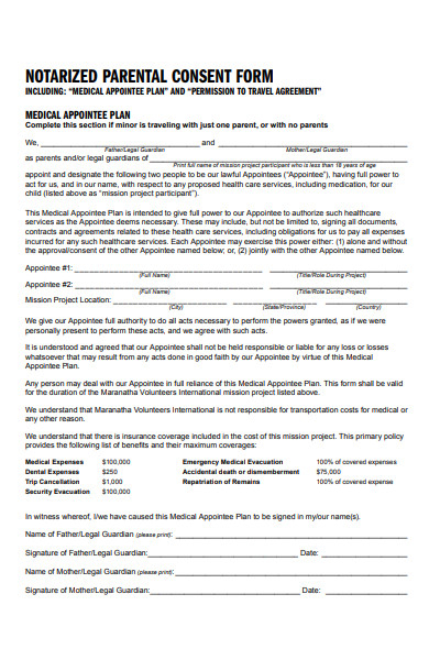 Efile Consent Form