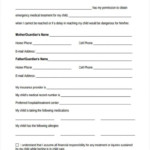 Babysitter Medical Consent Form Template