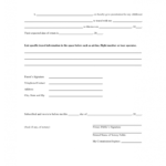 Travel Consent Form Notary