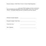 Electronic Signature Consent Form Template