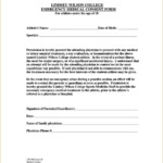 Authorization And Consent Form