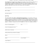 Parental Permission And Medical Consent Form