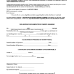 Unaccompanied Minor Travel Consent Form