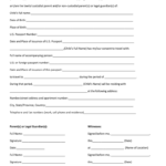 Us Passport Minor Consent Form