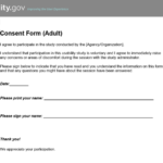 Consent Form For Usability Testing