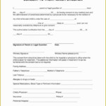 Minor Travel Consent Form Template