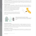 Biometric Time Clock Consent Form