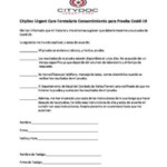 Travel Consent Form In Spanish