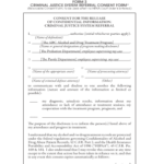 42 Cfr Part 2 Consent Form