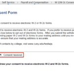 Email W2 Consent Form