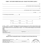 Traveling With A Minor Consent Form