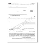 Consent To Change Attorney Form