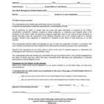American Airlines Parental Consent Form